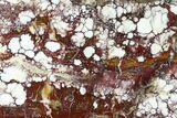 Polished Wild Horse Magnesite Slab - Arizona #146446-1